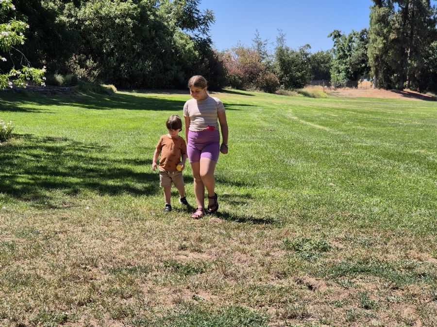 חוות האקלום, דייוויס